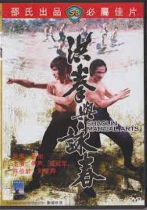 Shaolin Martial Arts Poster