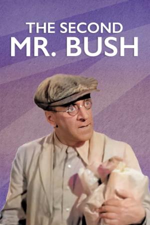 The Second Mr. Bush Poster