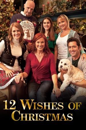 Twelve Wishes of Christmas Poster