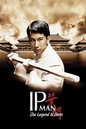 Ip Man The Real Fighter Poster