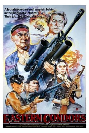 Eastern Condors Poster