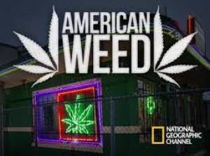 American Weed Poster