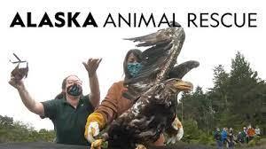 Alaska Animal Rescue Poster