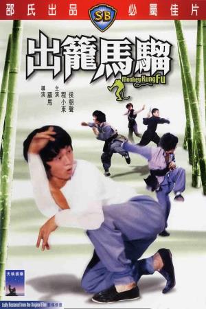 Monkey Kung Fu Poster