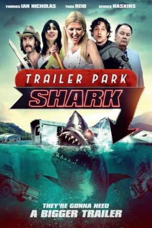 Shark Shock Poster