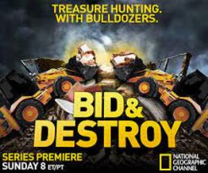 Bid & Destroy Poster