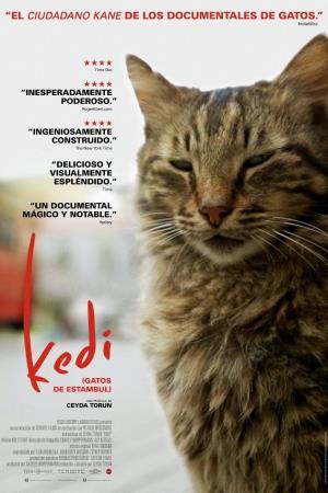 Kedi No 2 Poster