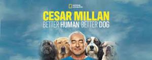 Cesar Millan: Better Human Better Dog Poster