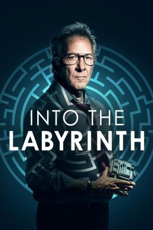 Into The Labyrinth Poster