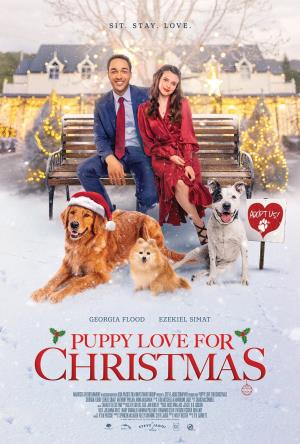 Love For Christmas Poster