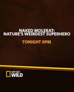 Naked Molerat: Weirdest Superhero Poster