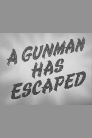 A Gunman Has Escaped Poster