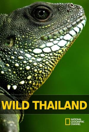 Wild Thailand Poster