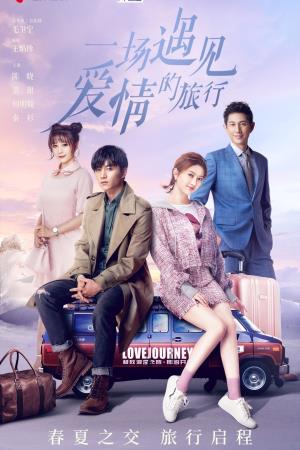  A Journey To Meet Love Poster
