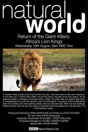 Africa's Lion Kings Poster
