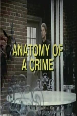 Anatomy of a Crime  Poster