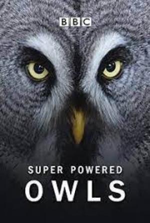 Super-Powered Owls Poster