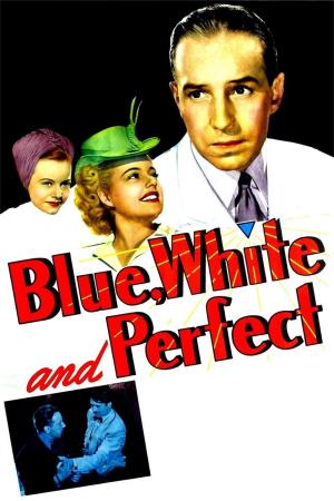 Blue, White and Perfect Poster