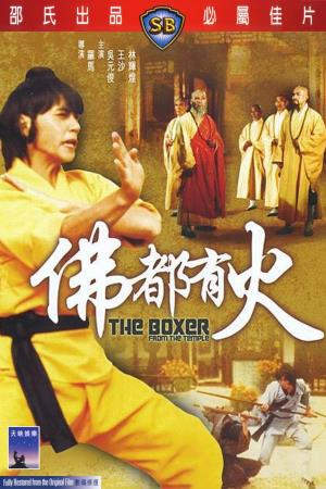 The Boxer From the Temple Poster