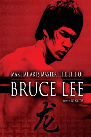 Bruce Lee: Martial Arts Master Poster