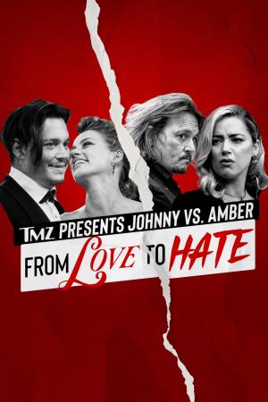 Johnny Vs. Amber: From Love To Hate Poster