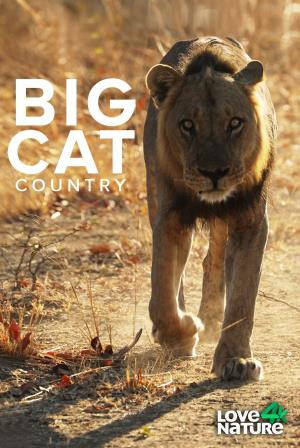 Big Cat Country Poster