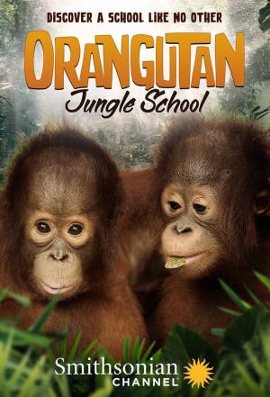 Orangutan Jungle School Poster