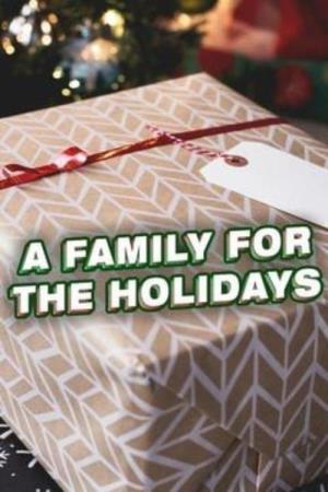 A Family For The Holidays Poster