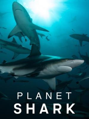 Planet Shark Poster