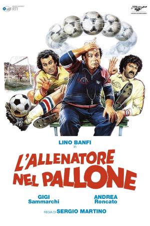 L'allenatore nel pallone Poster