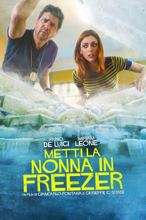 Metti la nonna in freezer Poster