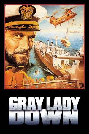 Salvate il "gray lady Poster