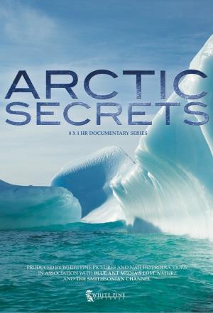 Arctic Secrets Poster