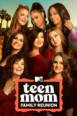Teen Mom Family Reunion Poster