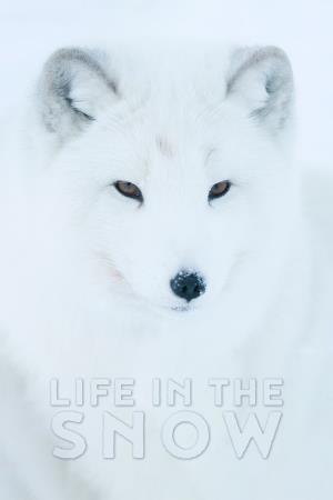 Life in the Snow Poster