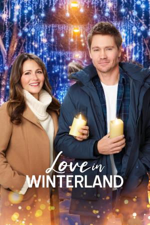 Amore a Winterland Poster