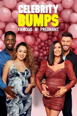 Celebrity Bumps: Famous & Pregnant Poster