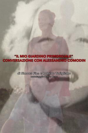 Conversazione con Alessandro Comodin Poster