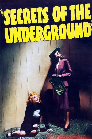 Secrets Underground Poster