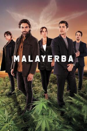 Malayerba Poster