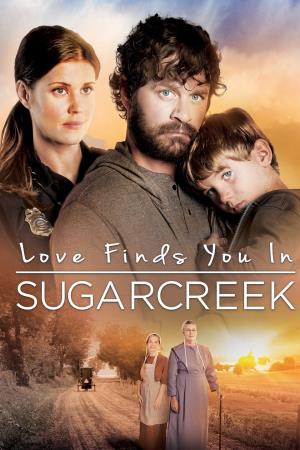 Innamorarsi a Sugarcreek Poster