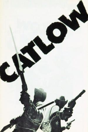 Catlow Poster