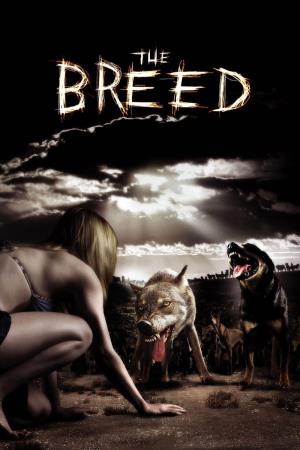 The breed - La razza del male Poster