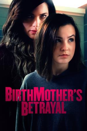 A Birthmother's Secret Poster
