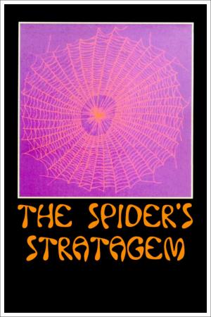 La strategia del ragno Poster