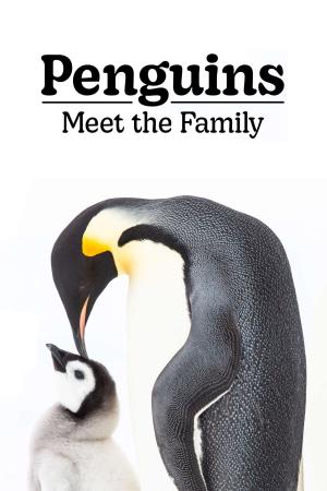 La famiglia dei pinguini Poster