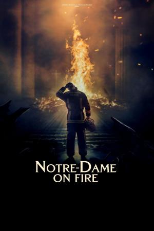 Notre-Dame in fiamme Poster