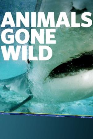 Animals Gone Wild Poster