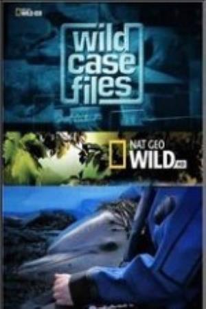 Wild Case Files Poster
