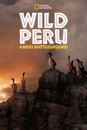 Wild Peru' Poster